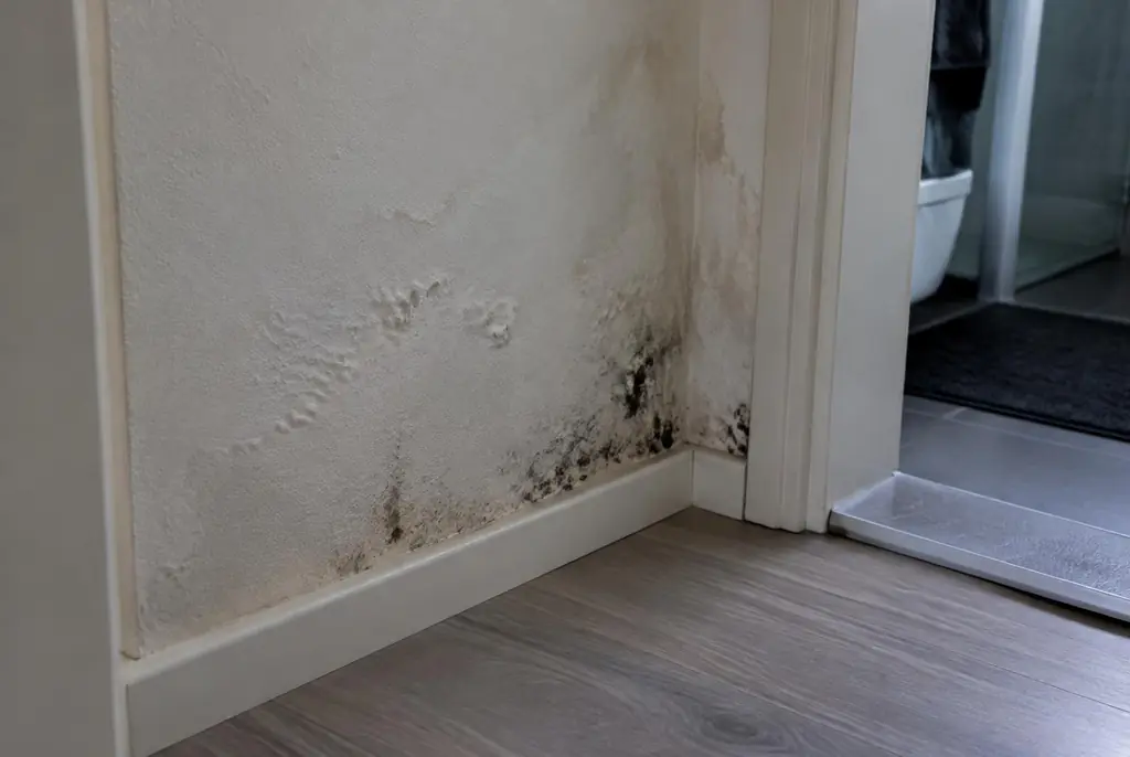 Lekdetectie Landsmeer – vochtplek met schimmel op een muur